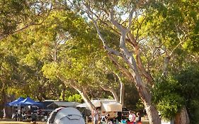 Bimbi Park - Camping Under Koalas